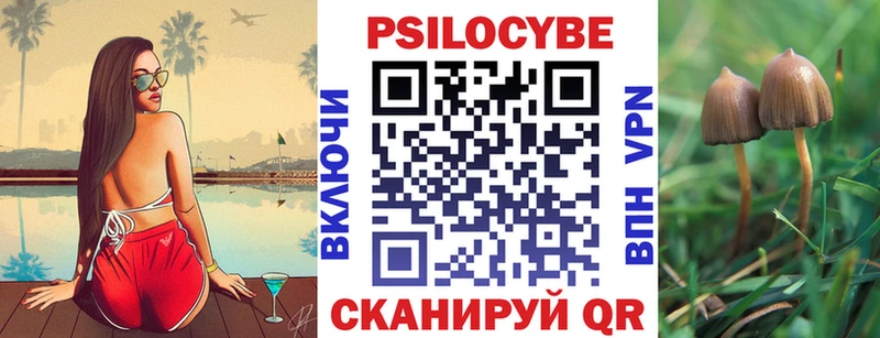 Купить  Салехард  Псилоцибиновые грибы GOLDEN TEACHER 